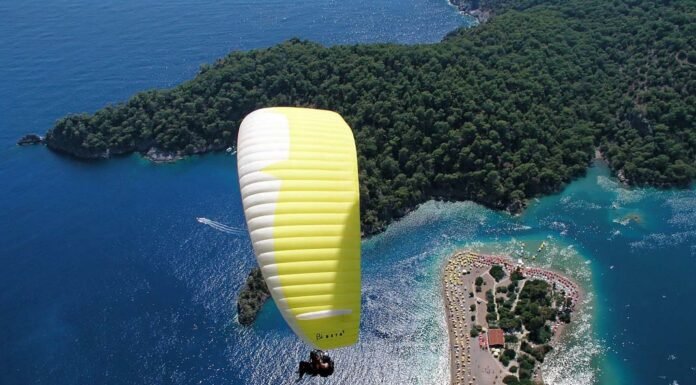 Taylor Swift Wins 2016 Grammys Album of the Year